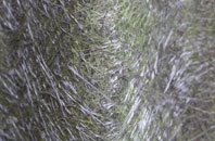 Doonfoot fibreglass roof work